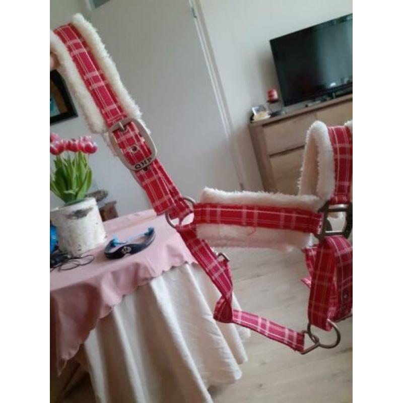Paarden spullen te koop