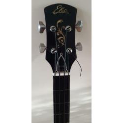 Eko vintage akoestische basgitaar incl. flightcase