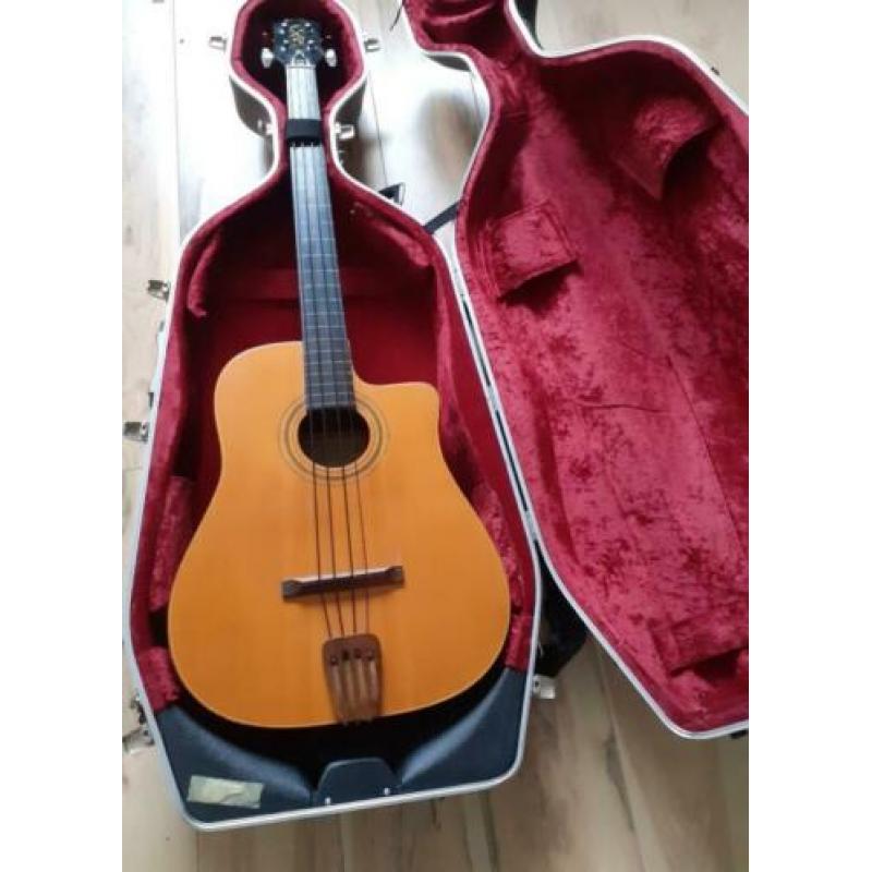 Eko vintage akoestische basgitaar incl. flightcase
