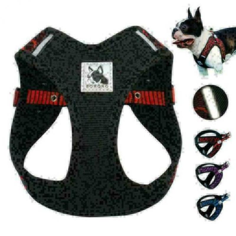 Nu 20% korting Harnas franse bulldog maat M