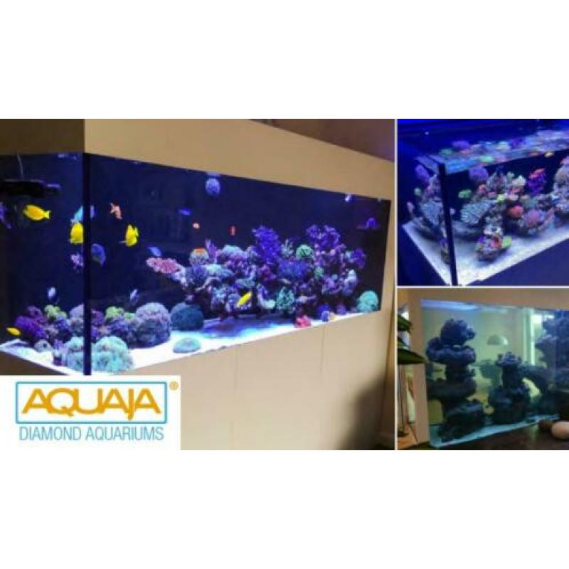Diamond maatwerk aquarium, geheel gebouwd zoals u wilt