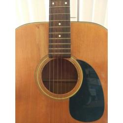 Gitaar bird