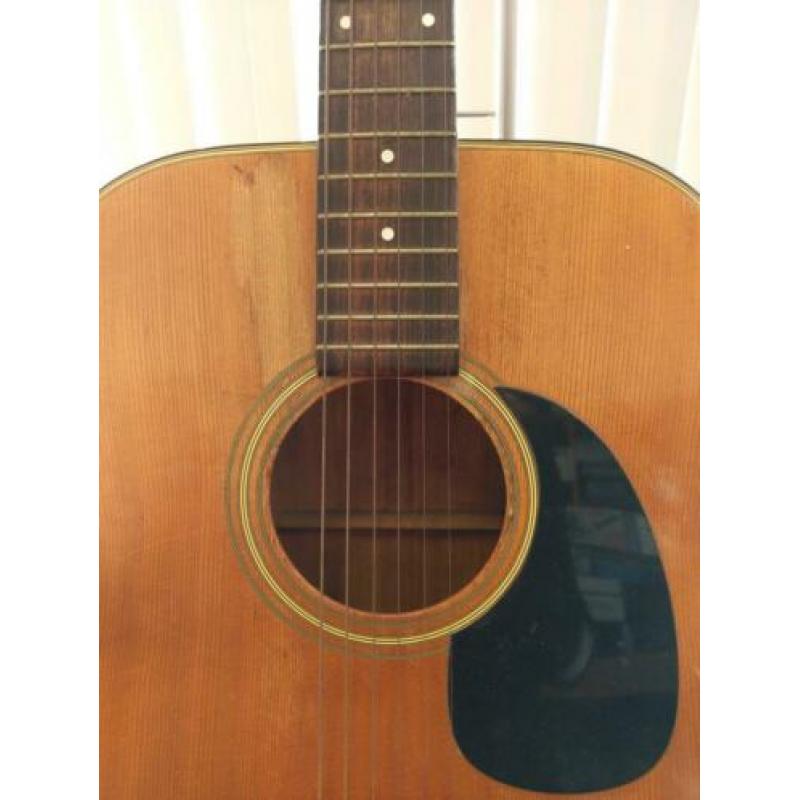 Gitaar bird