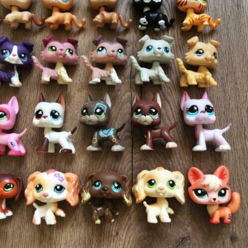 Zeer zeldzame petshop diertjes te koop pet shop