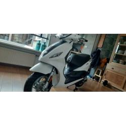 Piaggio new fly 4takt 2014 snor