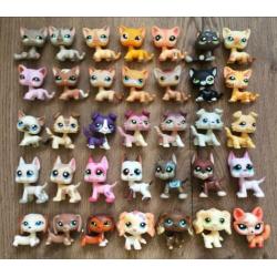 Zeer zeldzame petshop diertjes te koop pet shop
