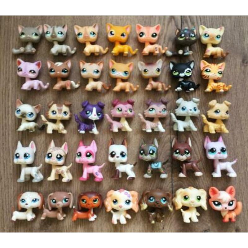Zeer zeldzame petshop diertjes te koop pet shop