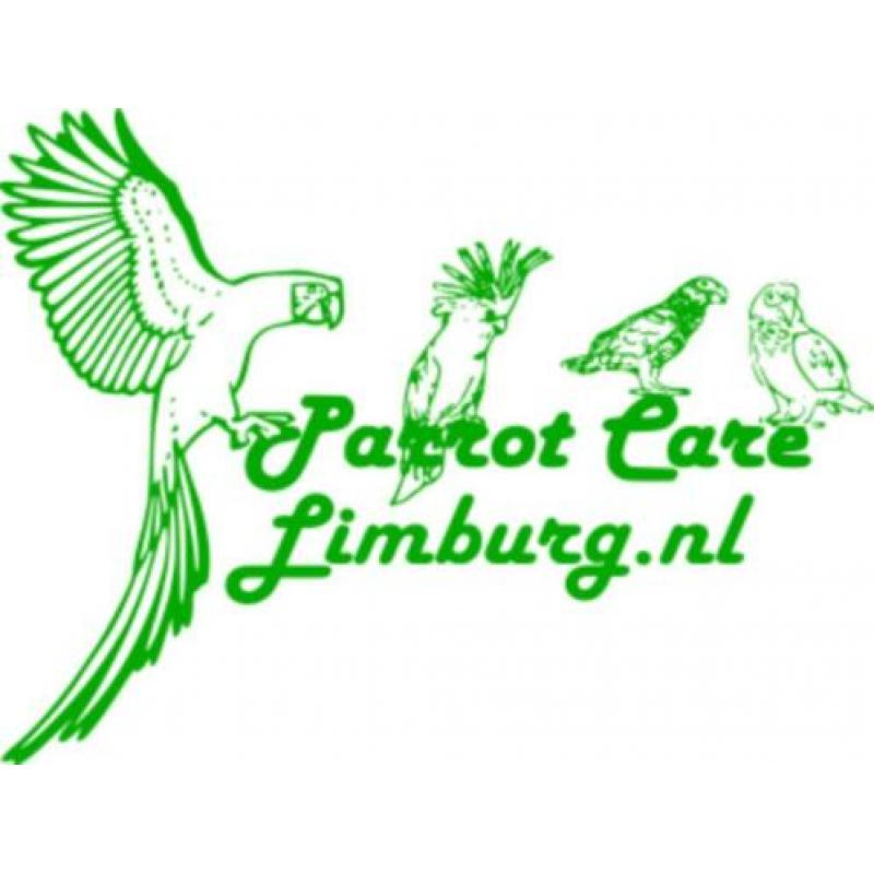 Papegaai Advies, Verzorging, Pension, Opvang, Voeding & Spee