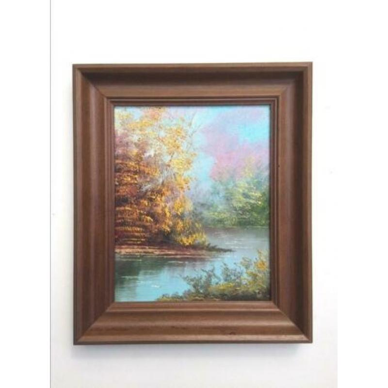 Olie op paneel: Lacustre Landschap (M/Ny 29 x 25) NEW !