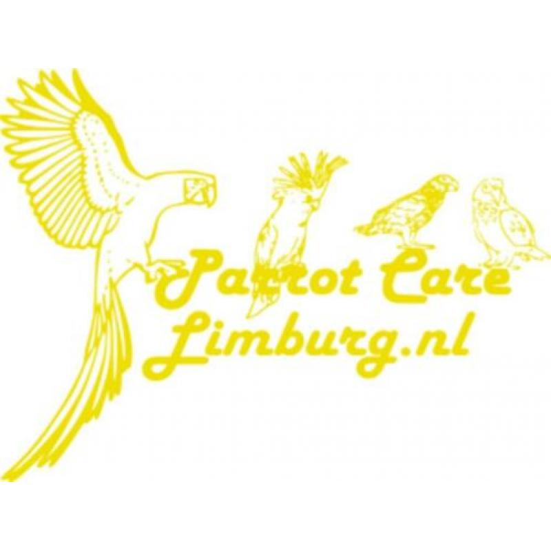 Papegaai Advies, Verzorging, Pension, Opvang, Voeding & Spee