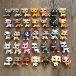Zeer zeldzame petshop diertjes te koop pet shop