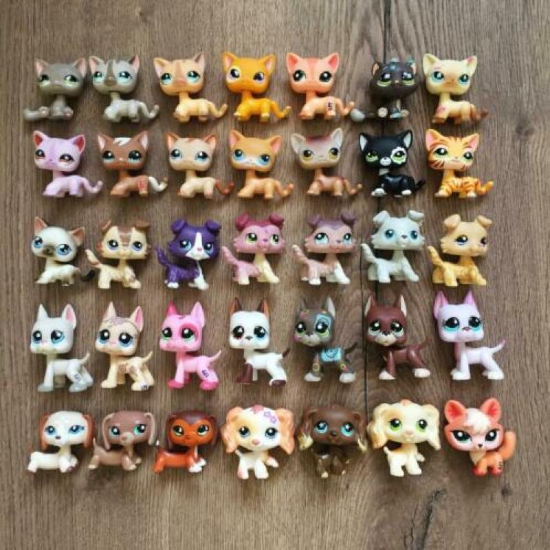 Zeer zeldzame petshop diertjes te koop pet shop