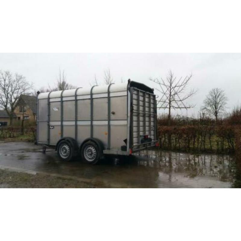 Ifor Williams veetrailer