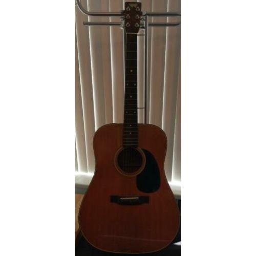 Gitaar bird