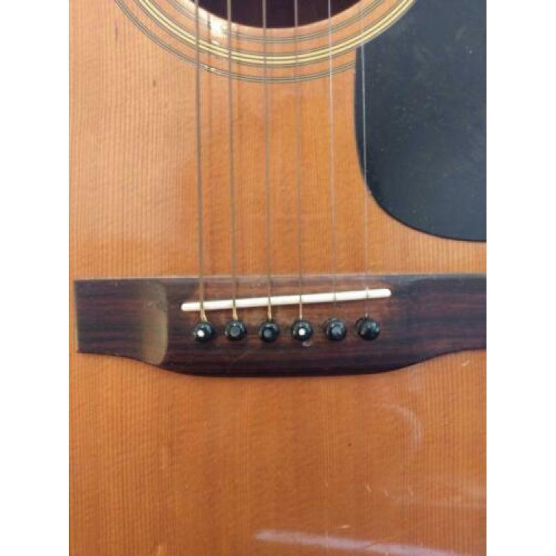 Gitaar bird