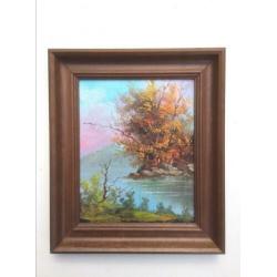 Olie op paneel: Lacustre Landschap (M/Ny 29 x 25) NEW !