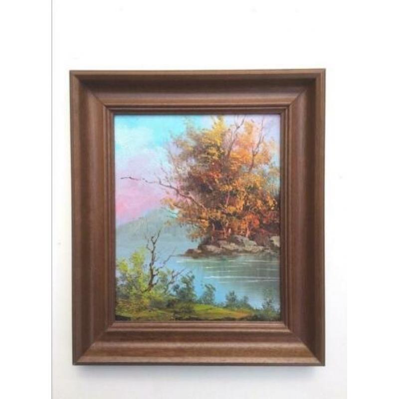 Olie op paneel: Lacustre Landschap (M/Ny 29 x 25) NEW !