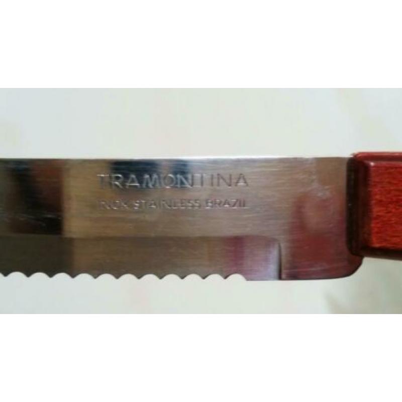 Framontina inox super scherp mes.
