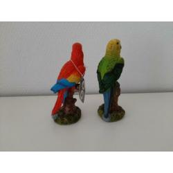 Roodborstjes/ papegaaitjes en andere vogeltjes