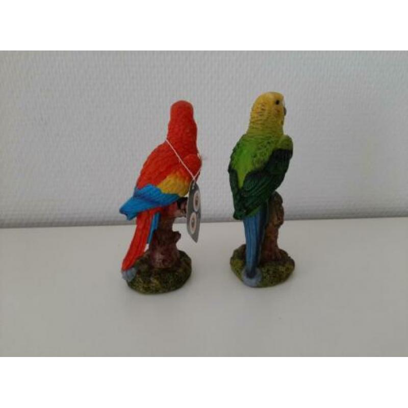 Roodborstjes/ papegaaitjes en andere vogeltjes