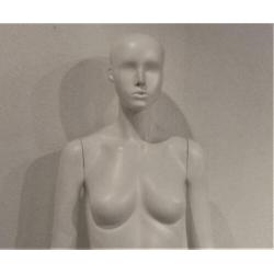 Paspop / etalagepop