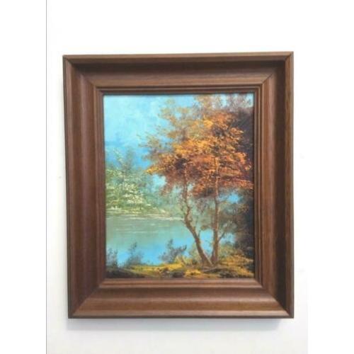 Olie op paneel: Lacustre Landschap (M/Ny 29 x 25) NEW !