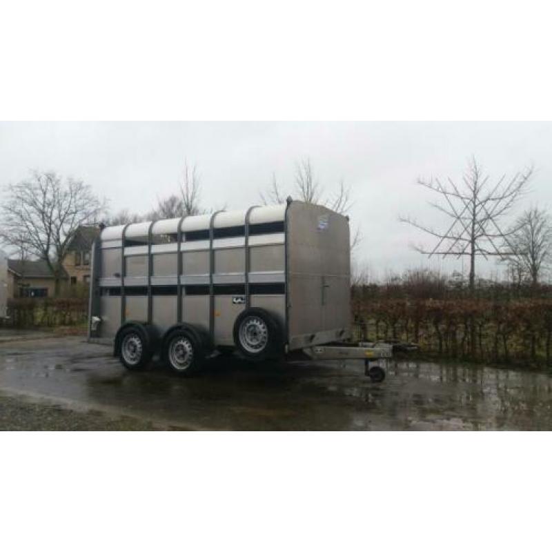 Ifor Williams veetrailer