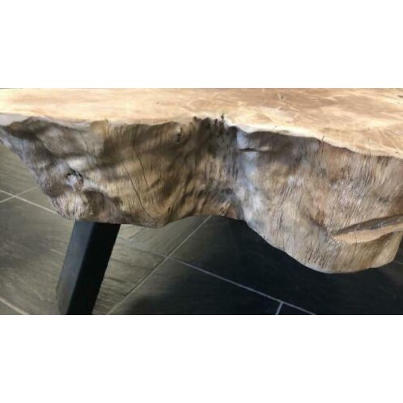 Boomstam salontafel 110 cm