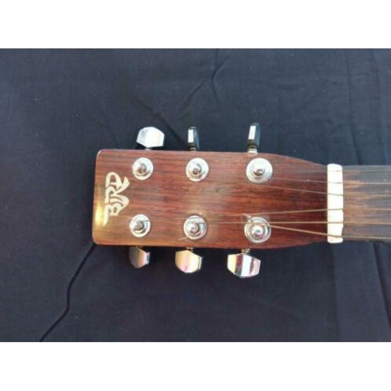 Gitaar bird