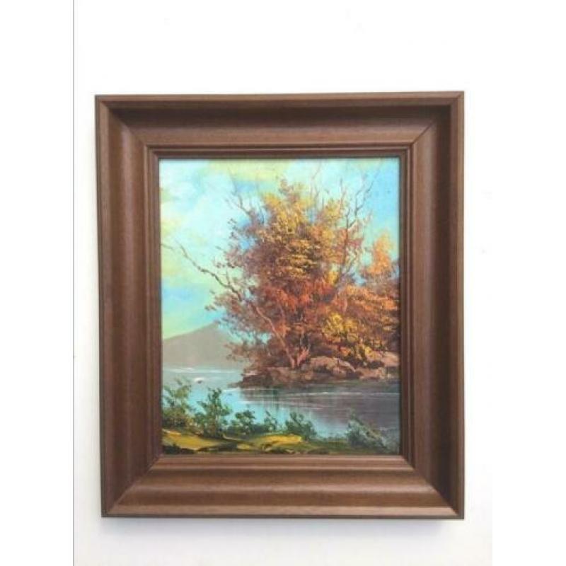 Olie op paneel: Lacustre Landschap (M/Ny 29 x 25) NEW !