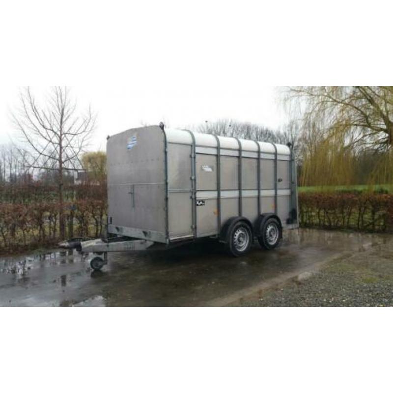 Ifor Williams veetrailer