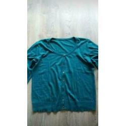 2 cecil vestjes, blauw en groen xxl/46-48