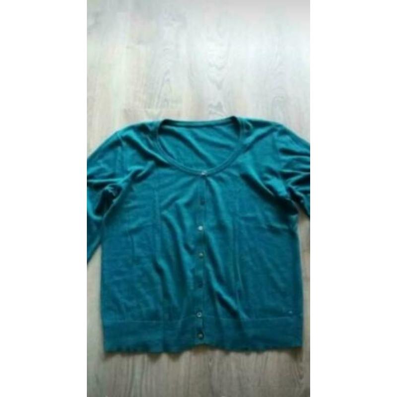 2 cecil vestjes, blauw en groen xxl/46-48