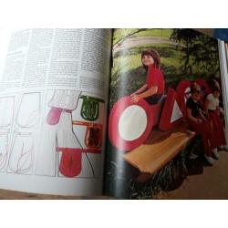 Knippen en naaien appliqueren en patchwork werkboek