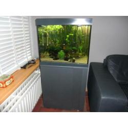 eheim vivaline 150 led plus antraciet met onderkast