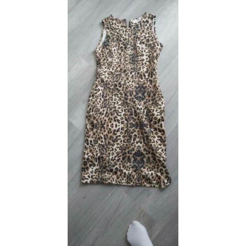 tijger print jurk mt 36 / 38