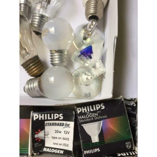 Gloei/Pcl/Plc/Tl lampen
