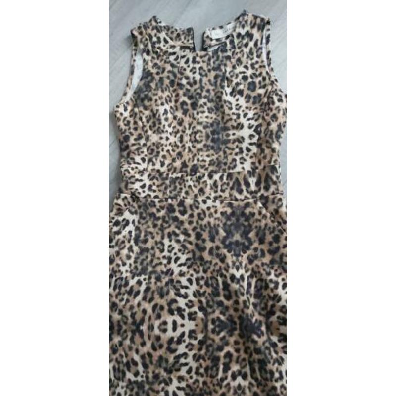 tijger print jurk mt 36 / 38
