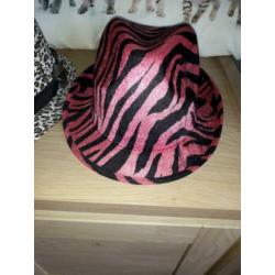 Pet diverse petten new york etc. 2.50 Per stuk of leuk bod v