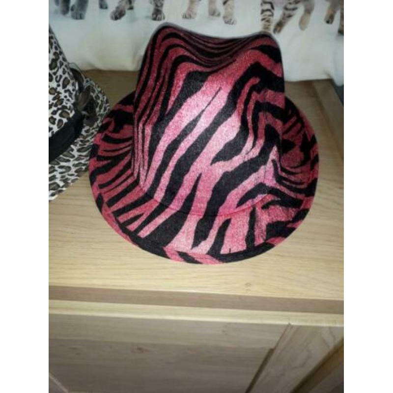 Pet diverse petten new york etc. 2.50 Per stuk of leuk bod v