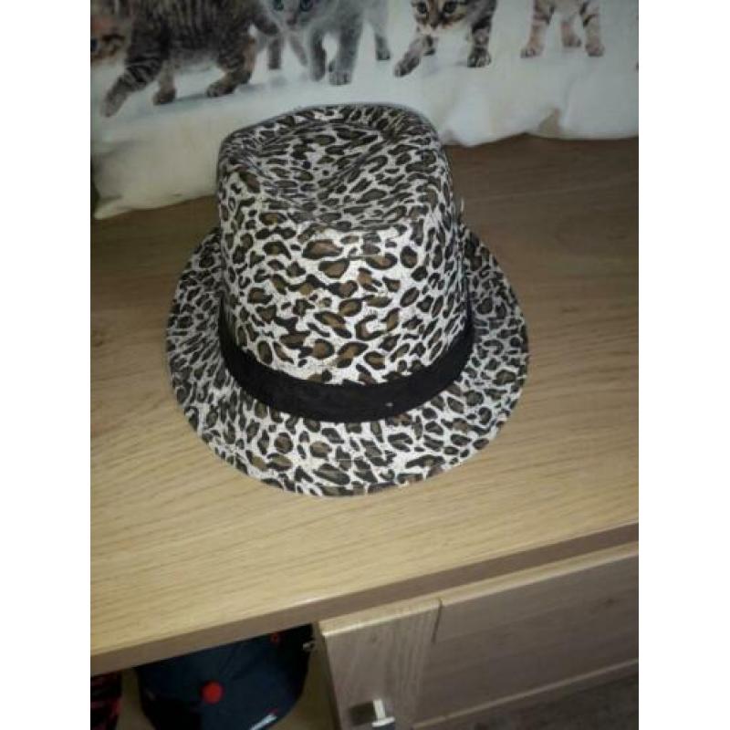 Pet diverse petten new york etc. 2.50 Per stuk of leuk bod v