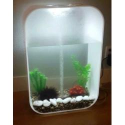 Biorb 60 life wit