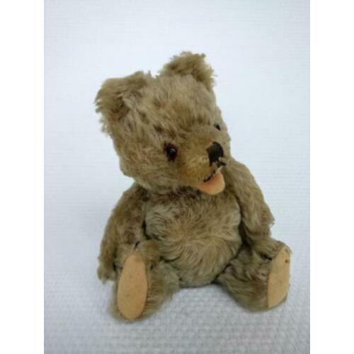 teddy beer zotty herman
