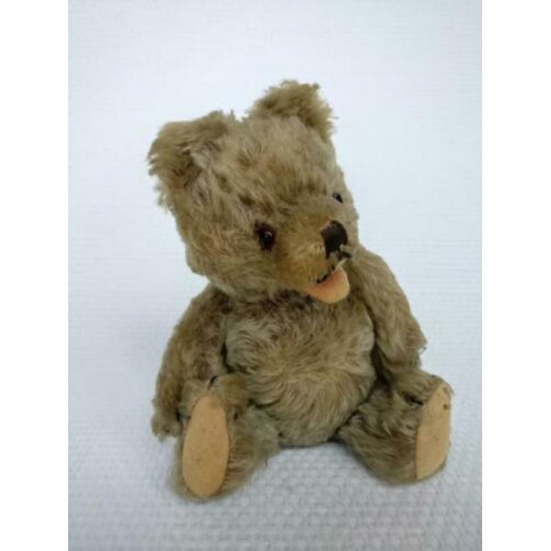 teddy beer zotty herman