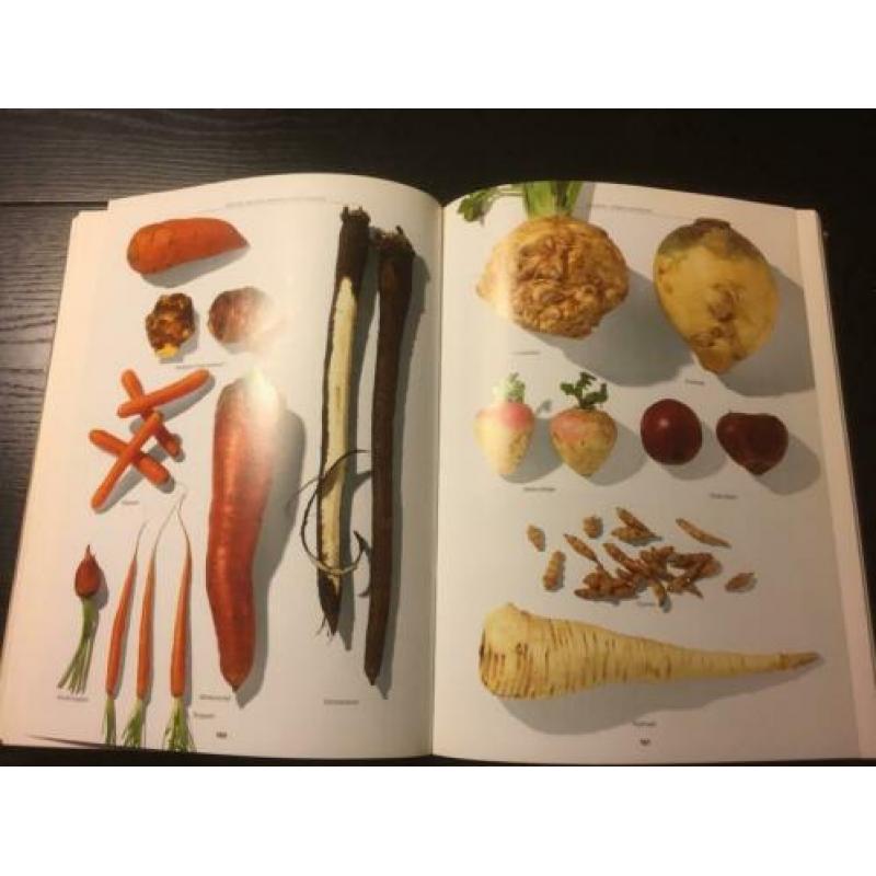 Het Nieuwe Kookboek