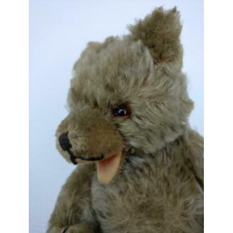 teddy beer zotty herman
