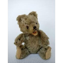 teddy beer zotty herman