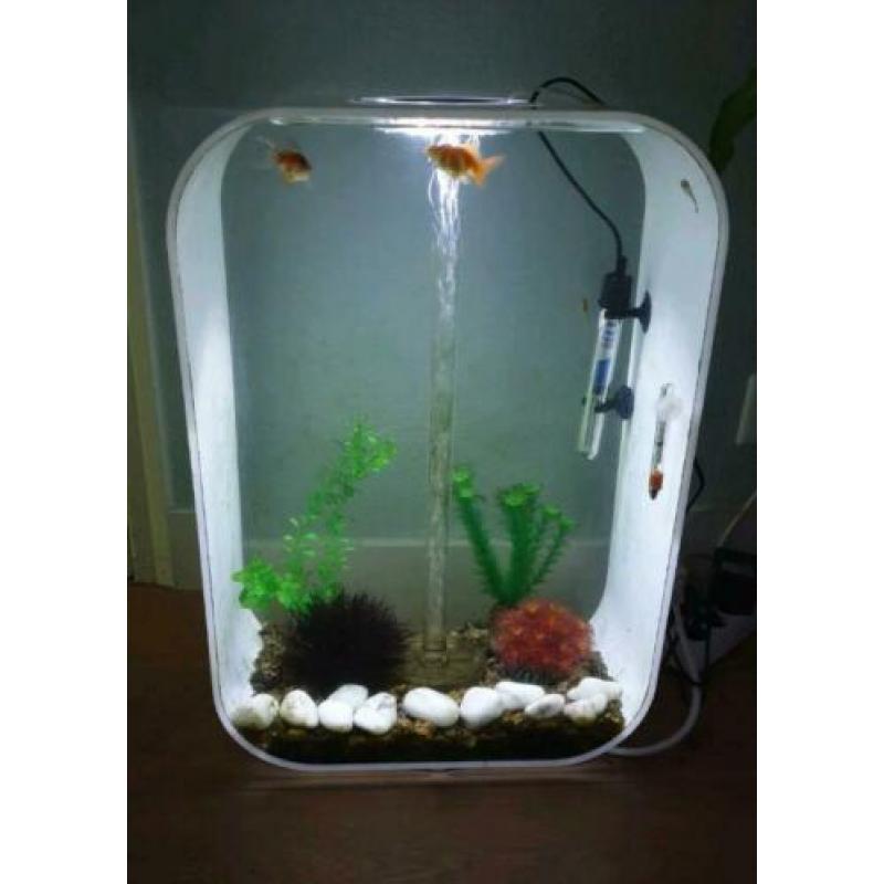 Biorb 60 life wit