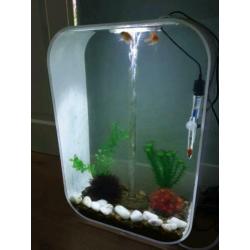 Biorb 60 life wit