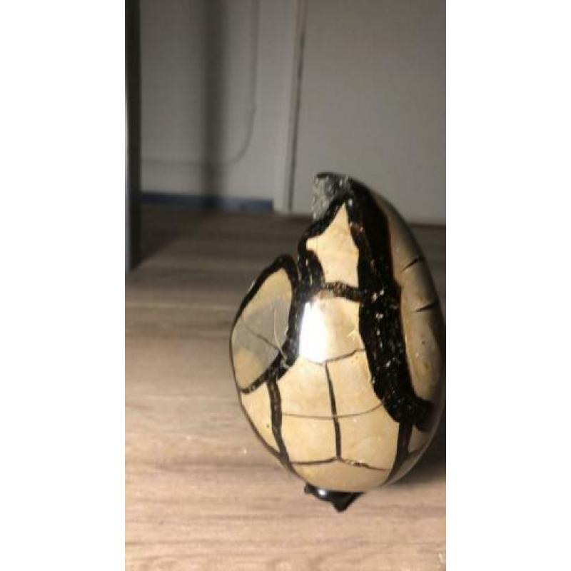 Septarie ei, nieuw kristal